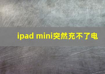 ipad mini突然充不了电